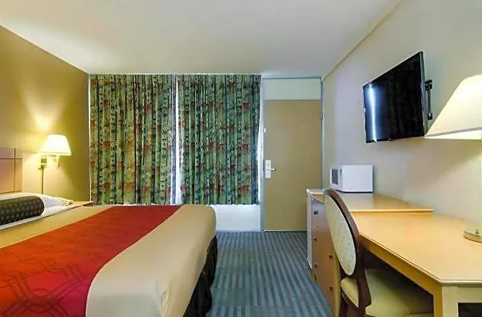 Lodge Econo