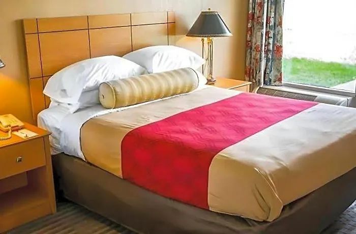 Lodge Econo