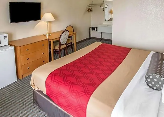 Lodge Econo